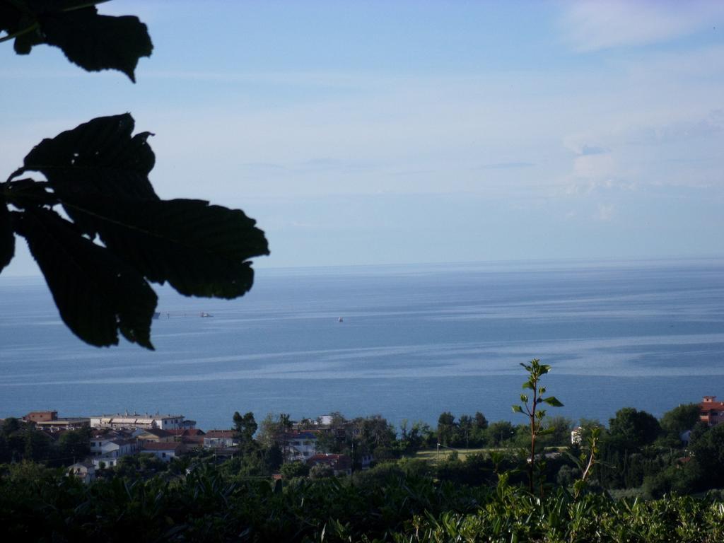 Bed And Breakfast " Il Tesoro Di Mario " Falconara Marittima Zewnętrze zdjęcie