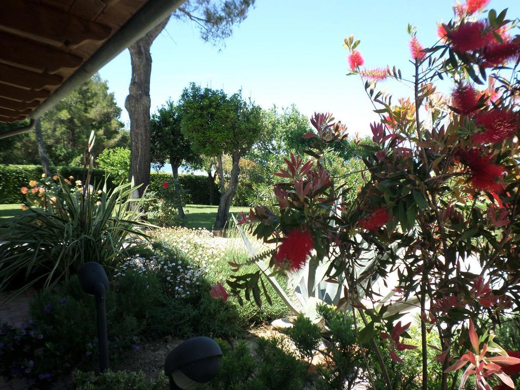 Bed And Breakfast " Il Tesoro Di Mario " Falconara Marittima Zewnętrze zdjęcie