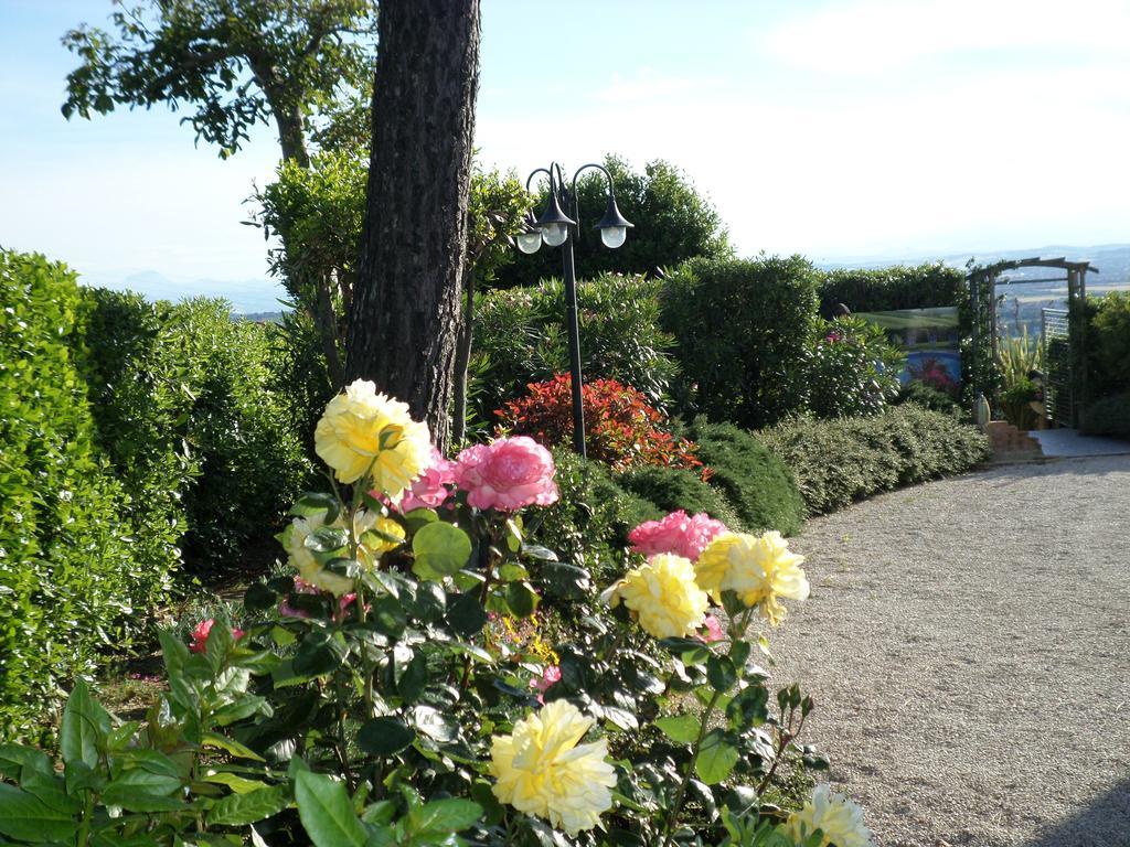 Bed And Breakfast " Il Tesoro Di Mario " Falconara Marittima Zewnętrze zdjęcie