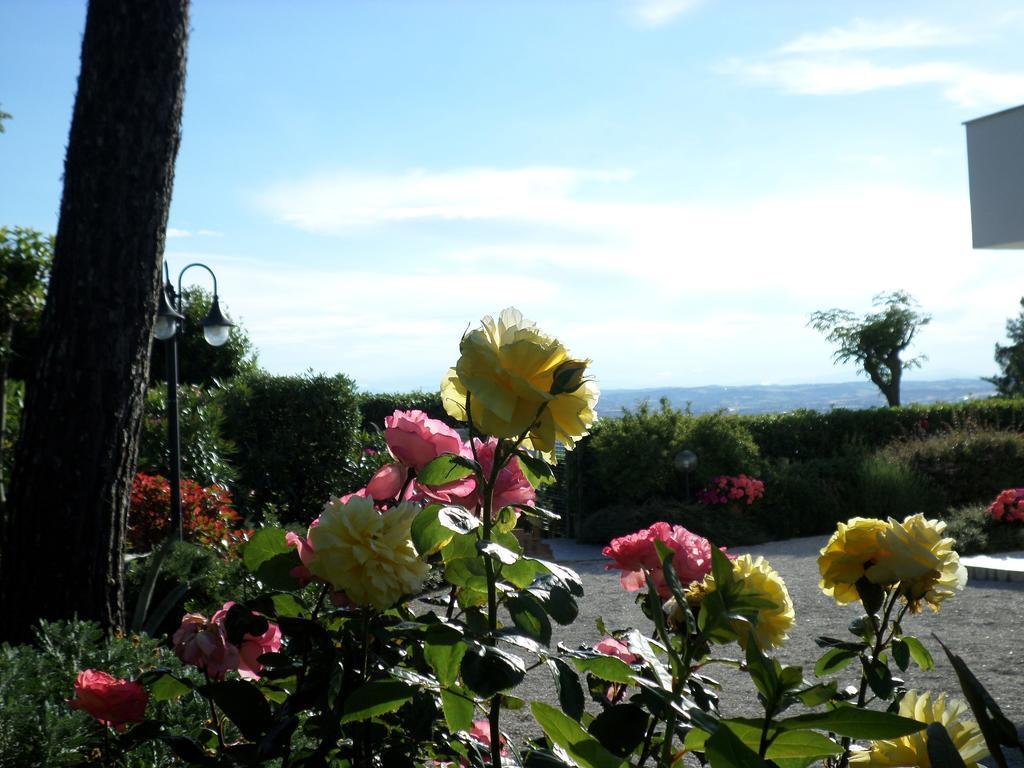 Bed And Breakfast " Il Tesoro Di Mario " Falconara Marittima Zewnętrze zdjęcie