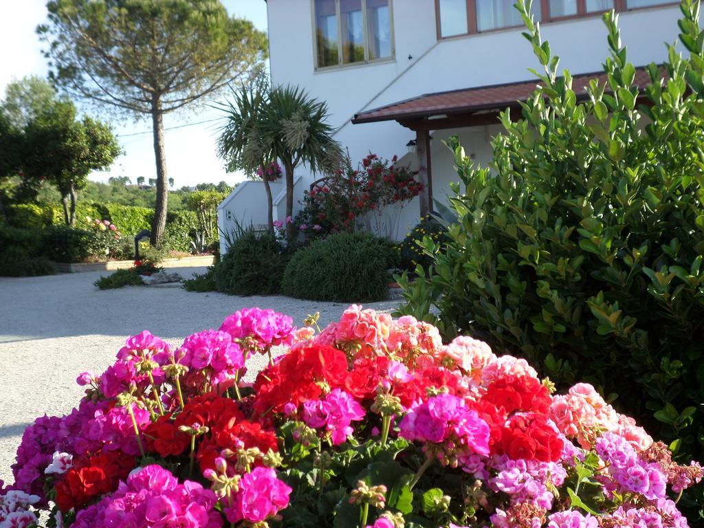 Bed And Breakfast " Il Tesoro Di Mario " Falconara Marittima Zewnętrze zdjęcie