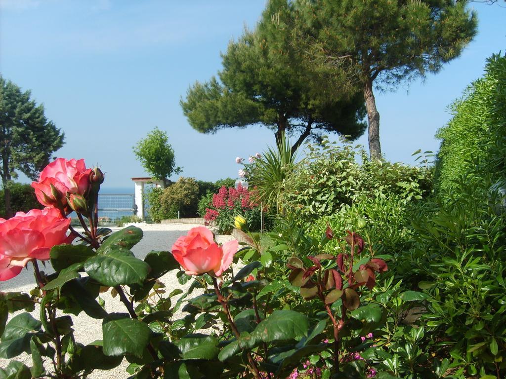 Bed And Breakfast " Il Tesoro Di Mario " Falconara Marittima Zewnętrze zdjęcie